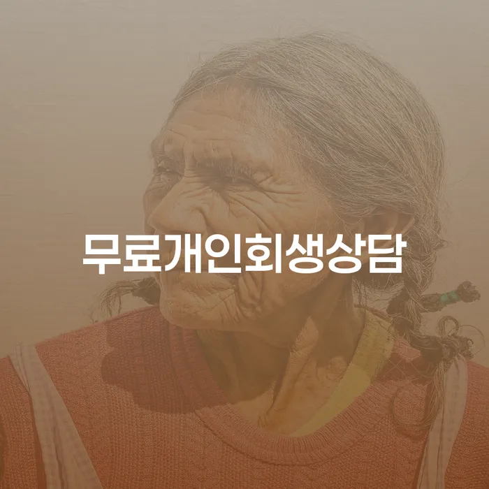 개인회생법무사비용 개인회생 처리방법 확실한 진행