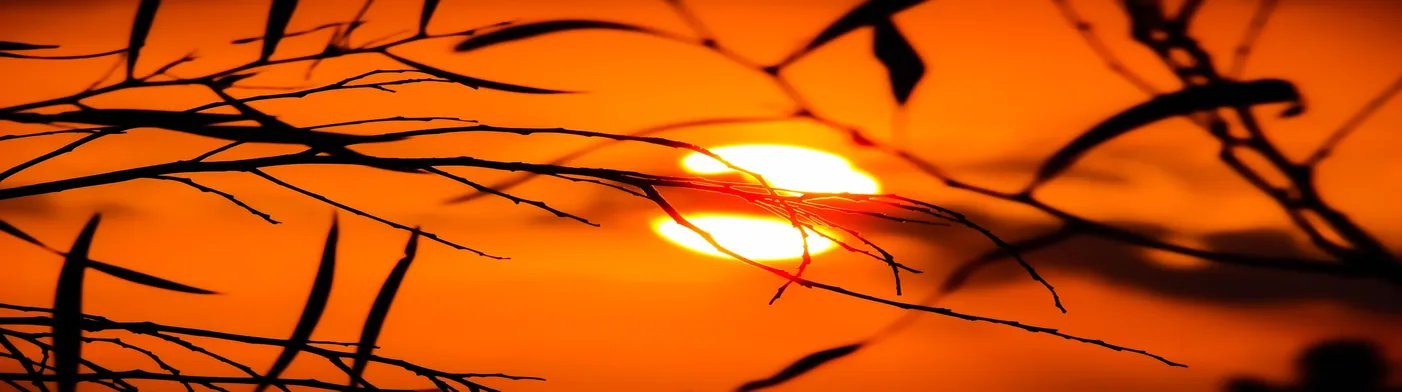 법무법인 서앤율