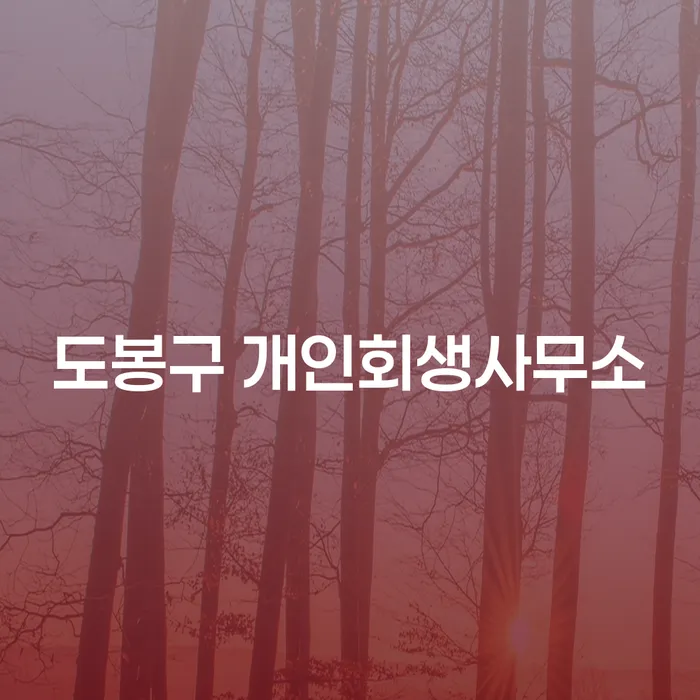 채무 해결의 첫 걸음: 도봉구 개인회생사무소에 문의하세요?