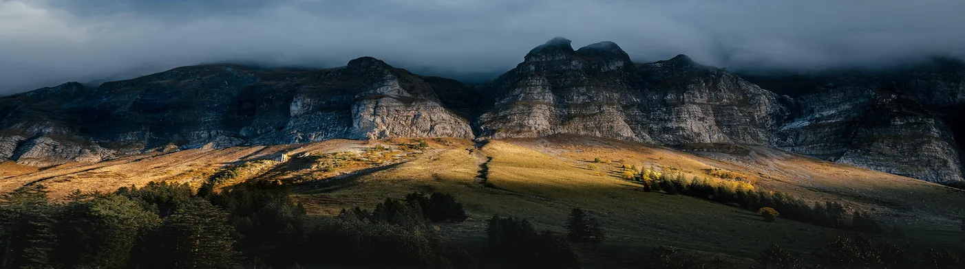 법무법인 서앤율